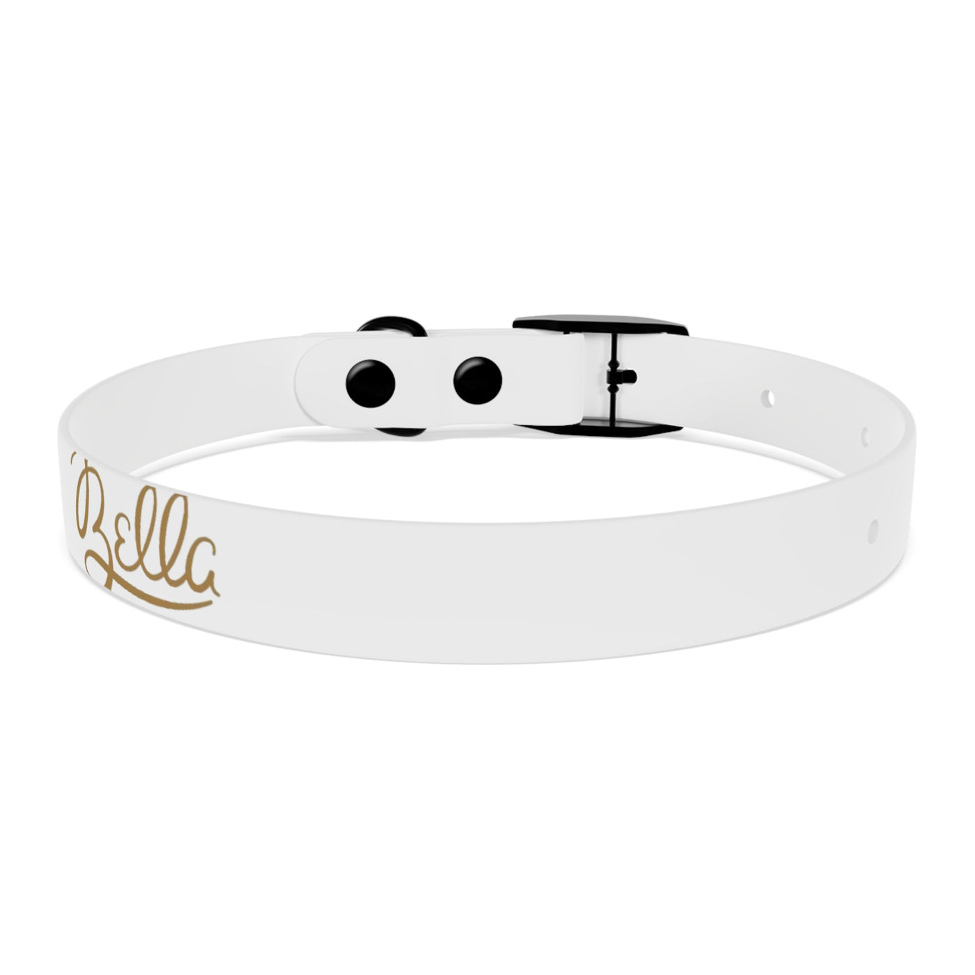Dog Collar