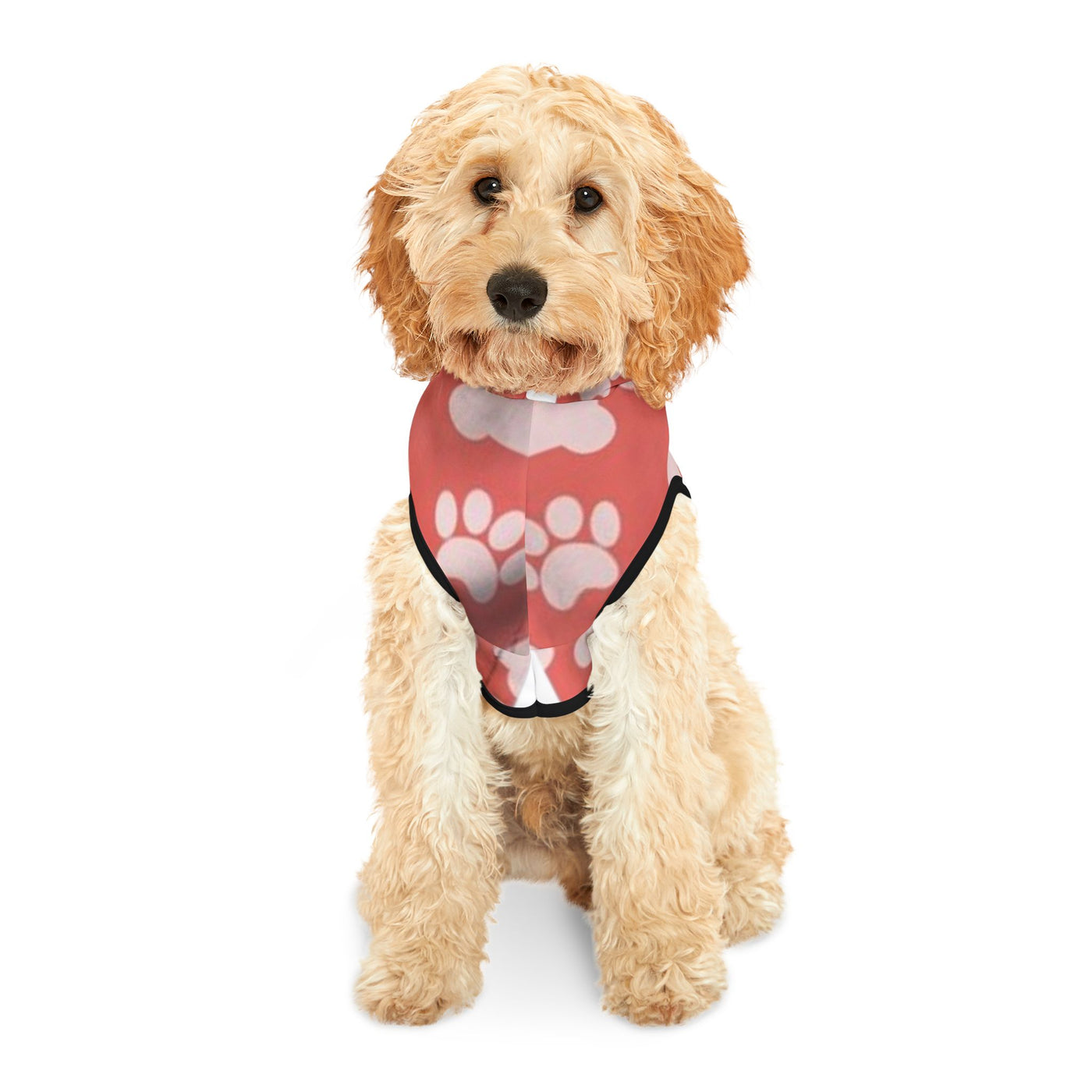 Pet Hoodie