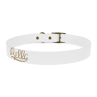 Dog Collar