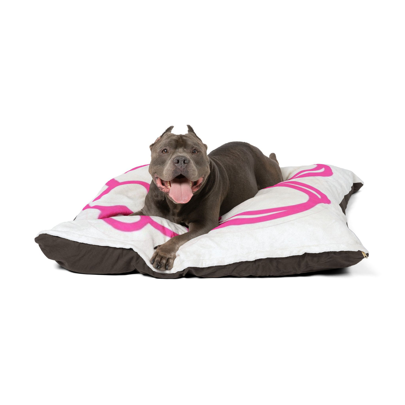Pet Bed