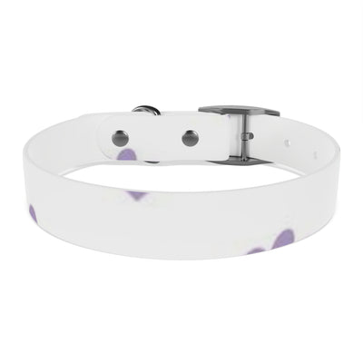 Dog Collar