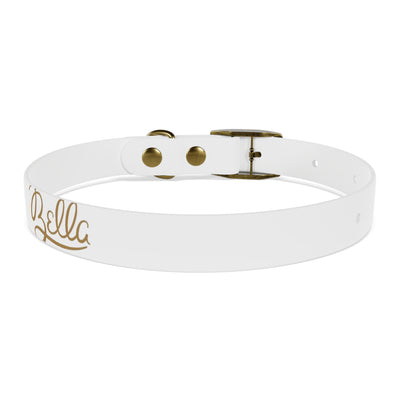 Dog Collar