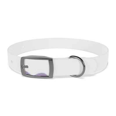 Dog Collar