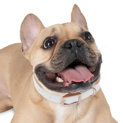 Dog Collar