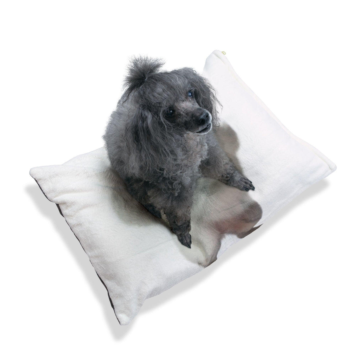 Pet Bed