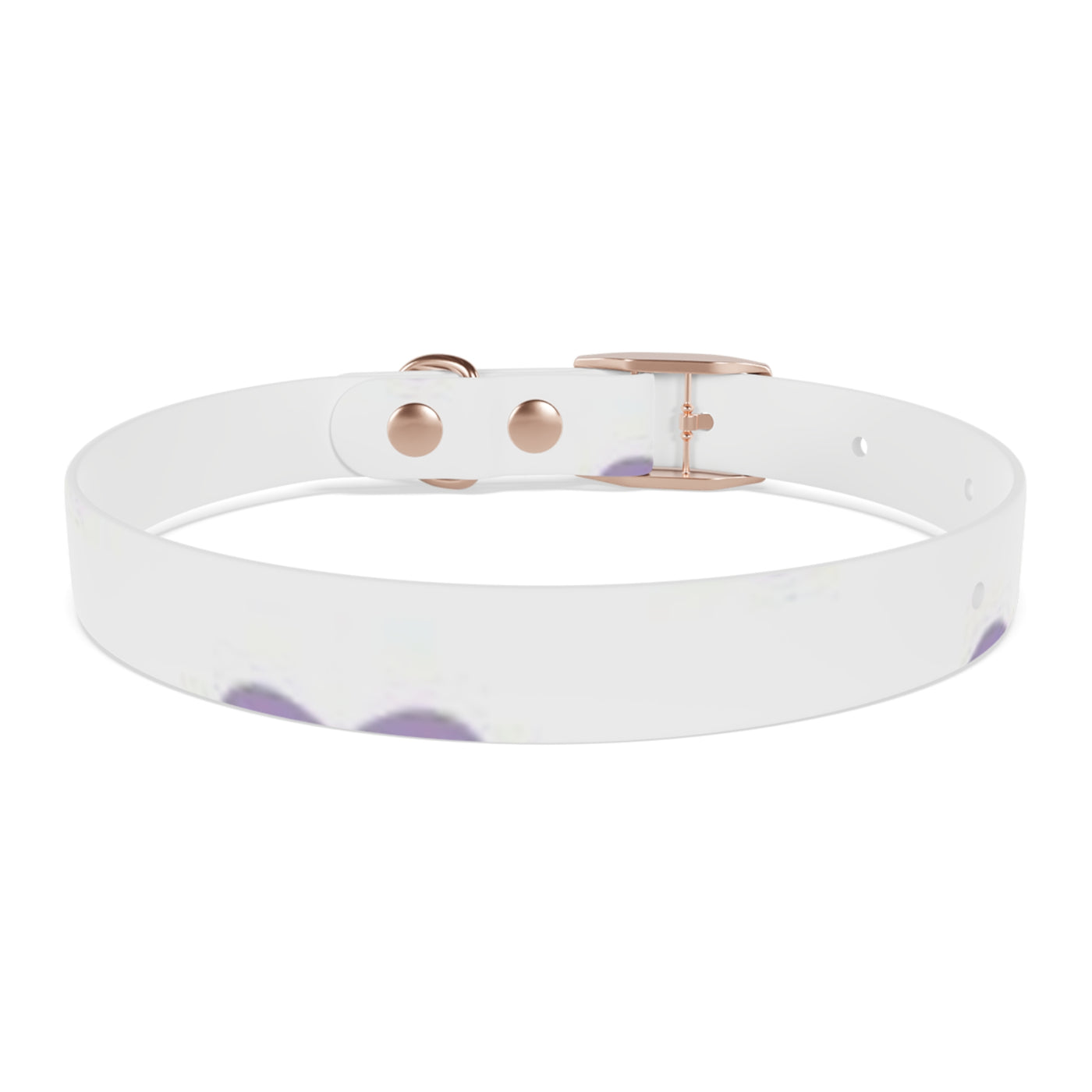 Dog Collar
