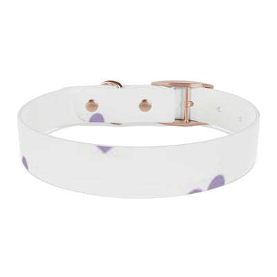 Dog Collar