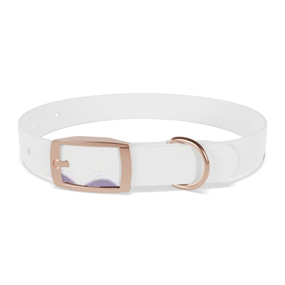 Dog Collar