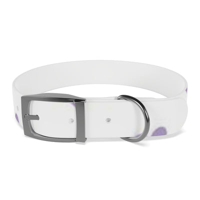 Dog Collar
