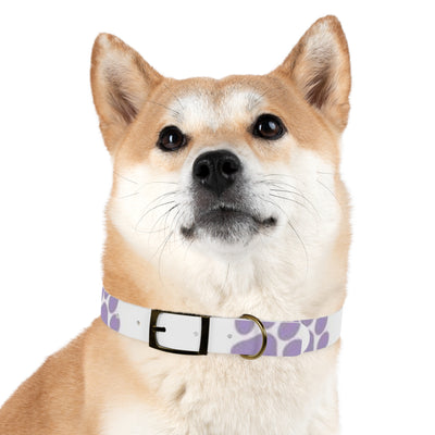 Dog Collar