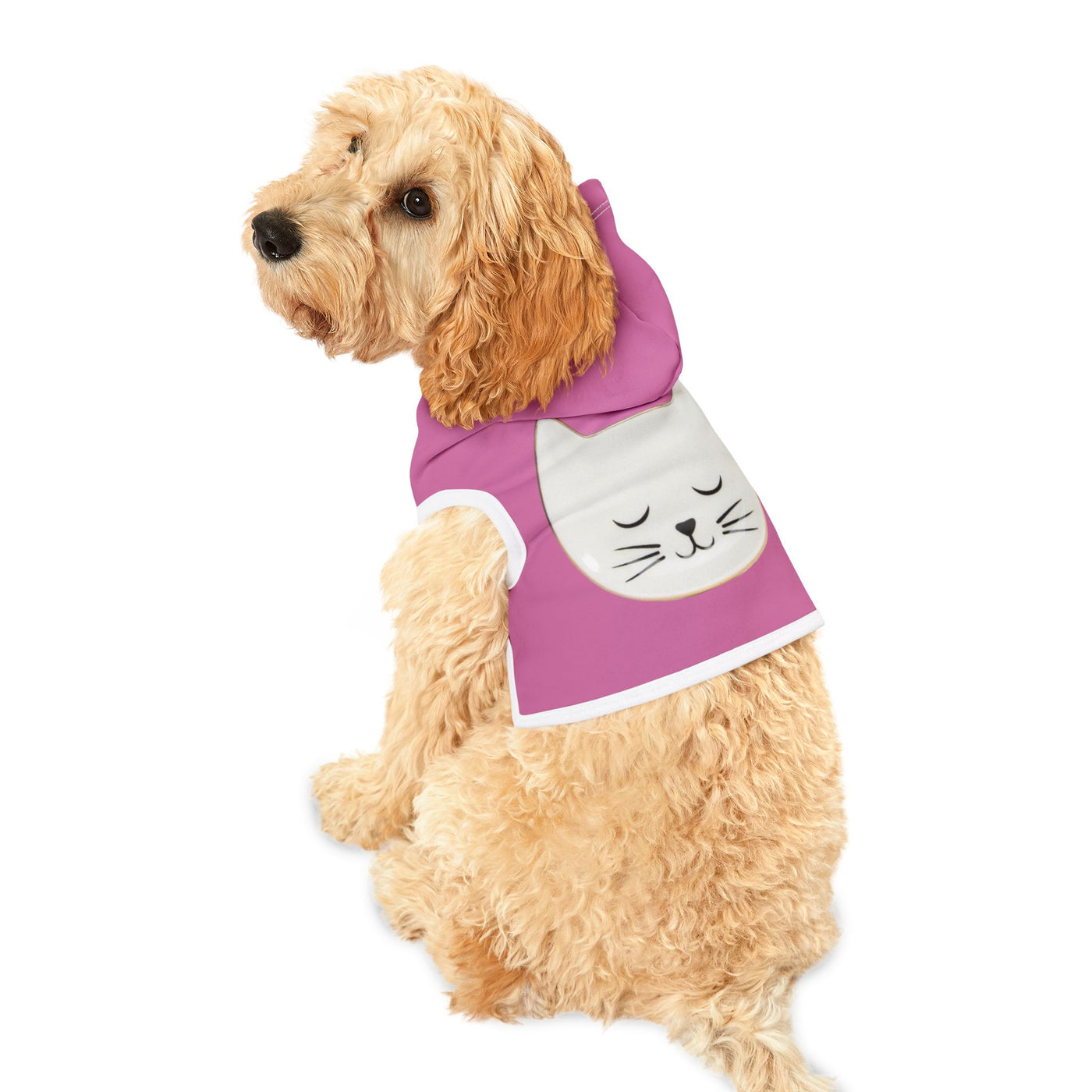 Pet Hoodie