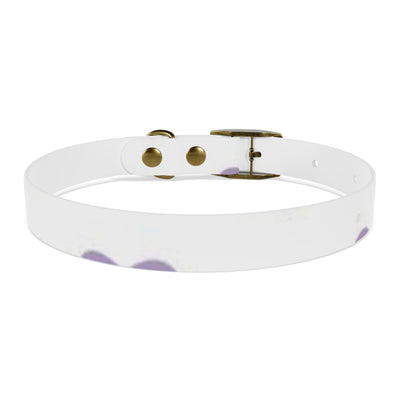 Dog Collar
