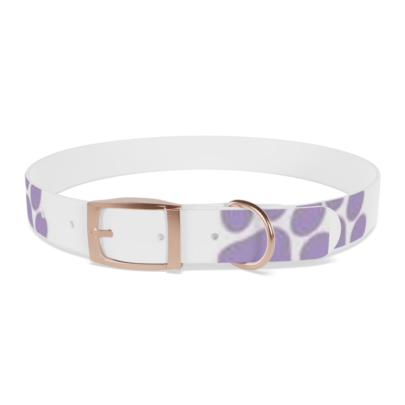 Dog Collar
