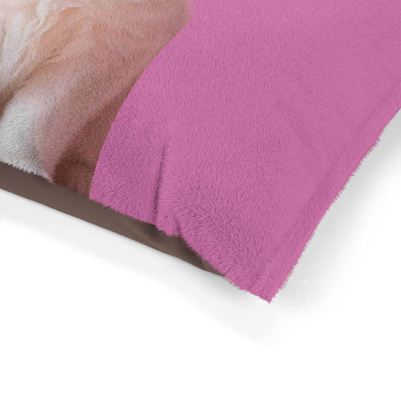 Pet Bed