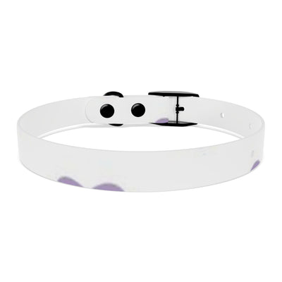 Dog Collar