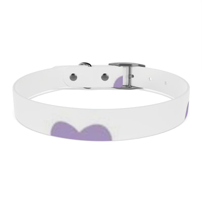 Dog Collar
