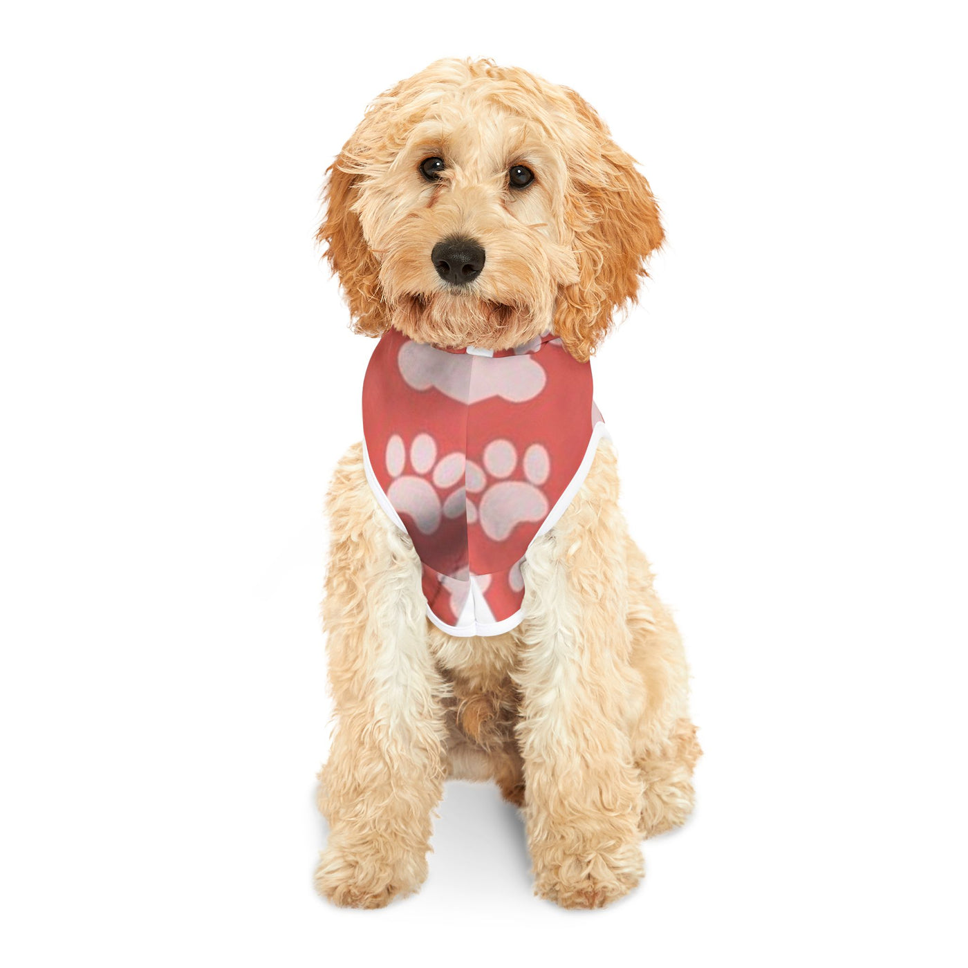 Pet Hoodie