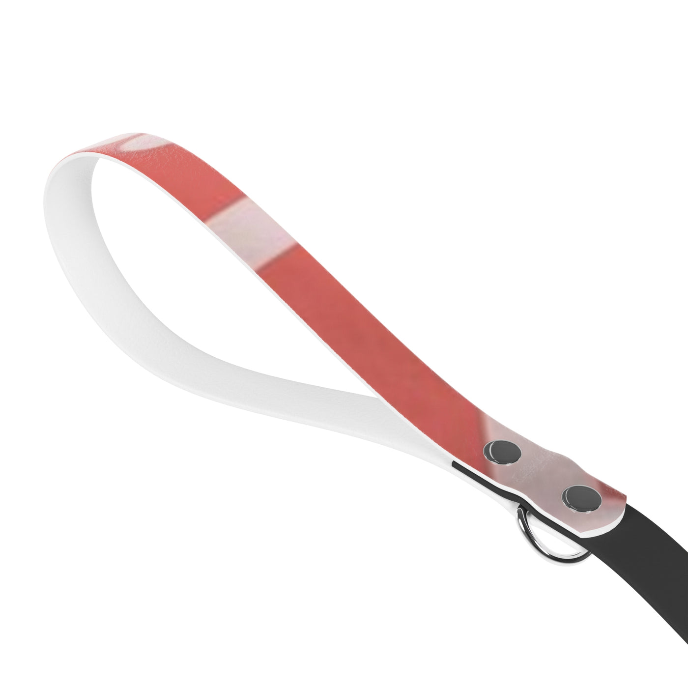 Leash